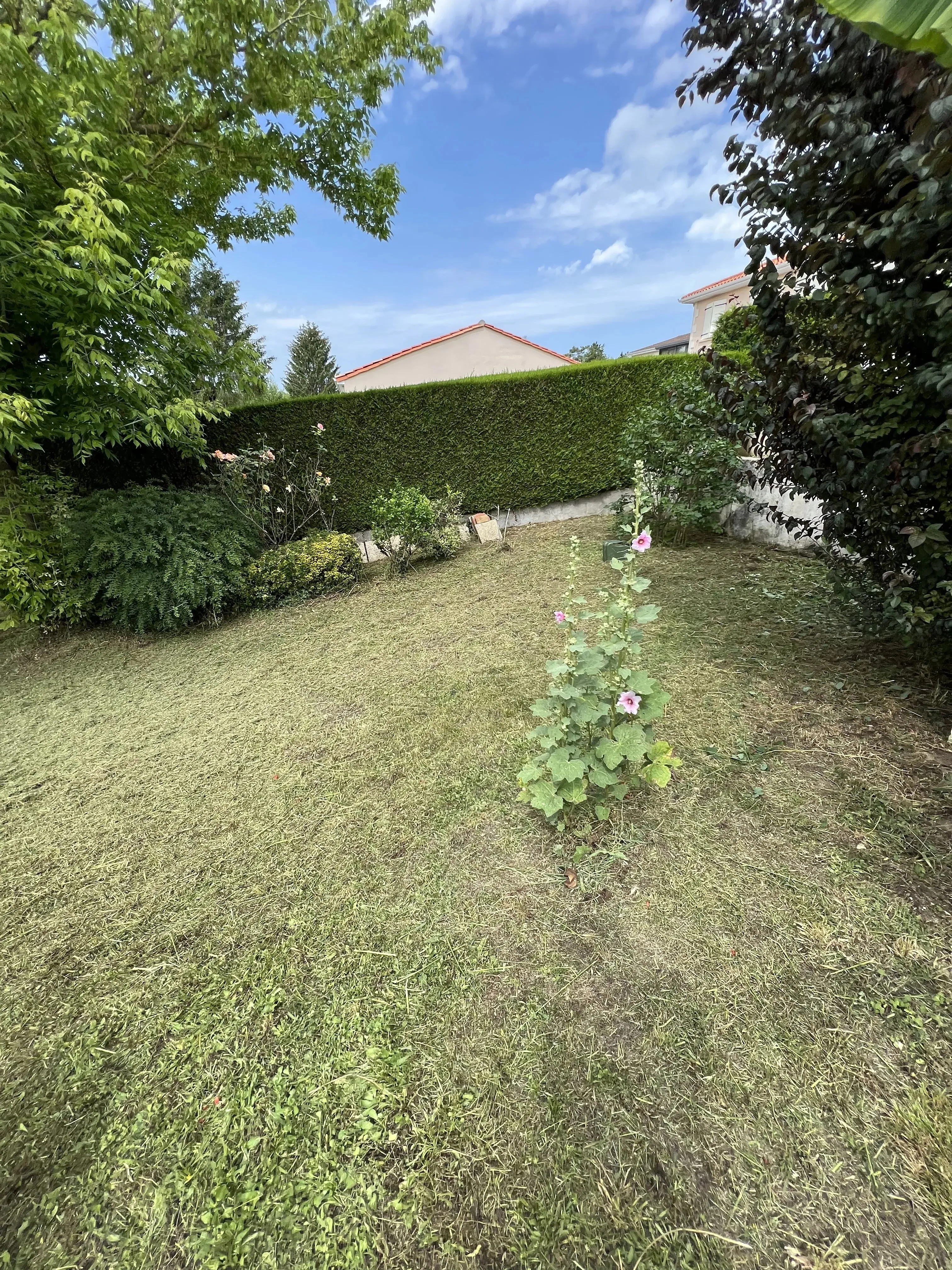 Contrat d’entretien de jardin en Charente