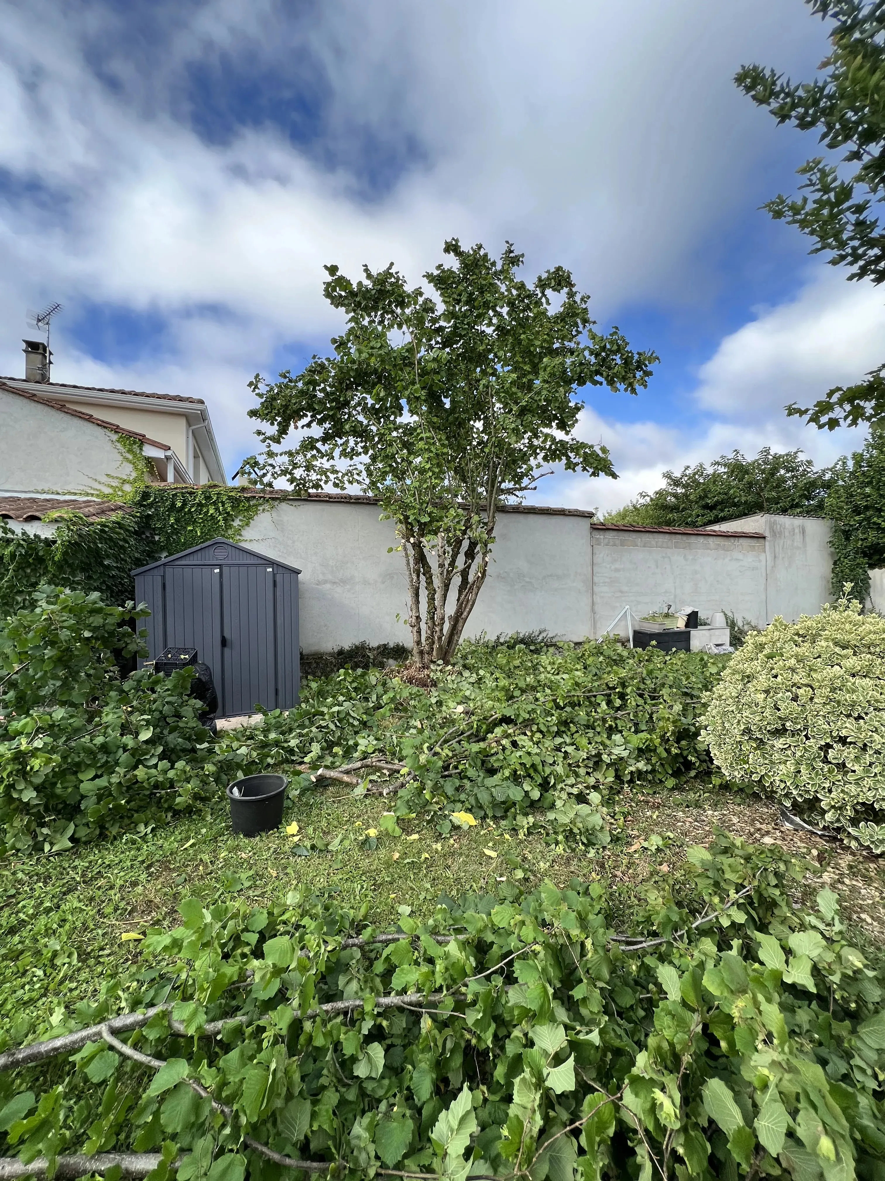 Remise en état de jardin en Charente